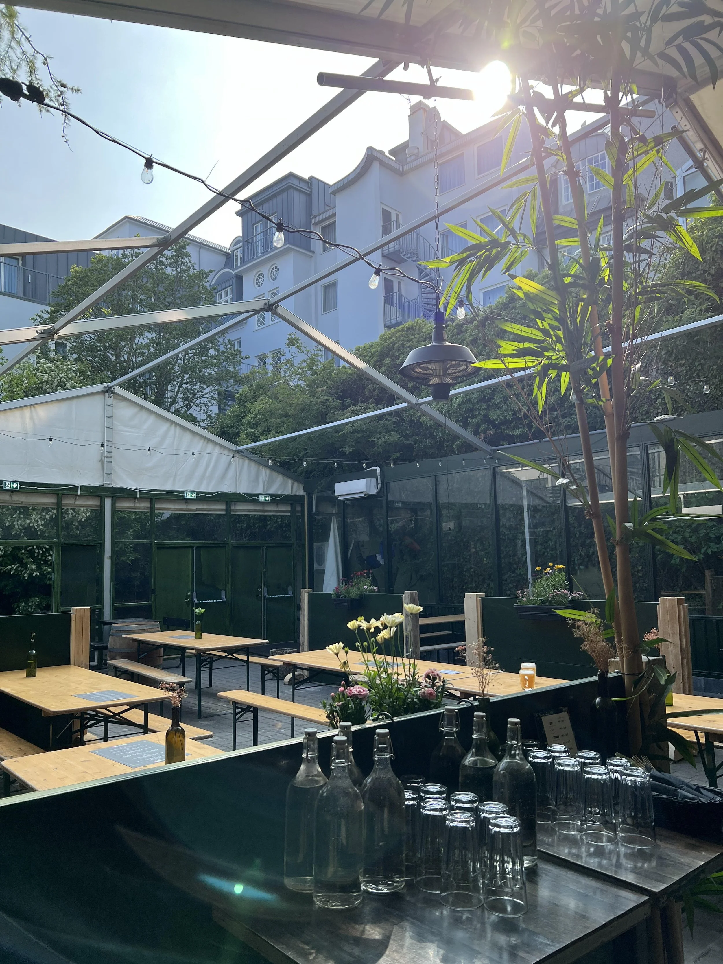 Lemmy beer garden
